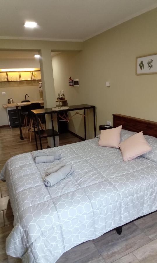 Loft/apart Michel Iguazu Apartment Puerto Iguazu